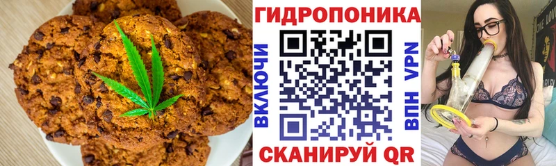 Купить закладки  Новоалександровск  Canna-Cookies конопля 