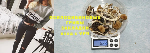 крисы Коряжма