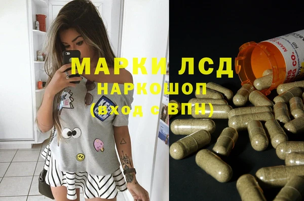 крисы Коряжма