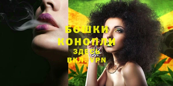 крисы Коряжма