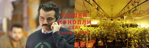крисы Коряжма