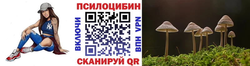 Галлюциногенные грибы MAGIC MUSHROOMS  Купить закладки  Новоалександровск 